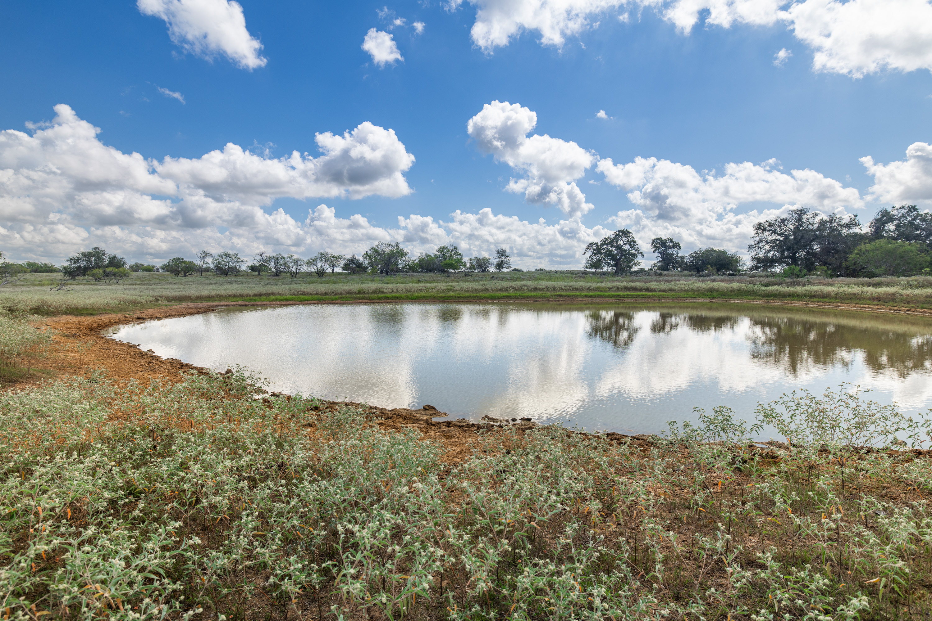 Tbd County Road 155 Nixon TX 78125