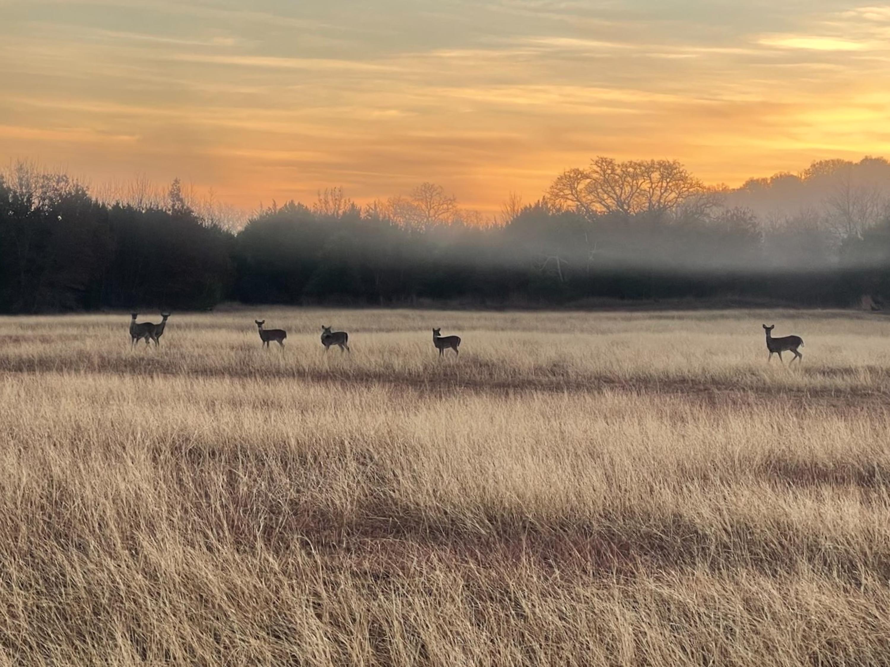 4658 County Road 163 Stephenville TX 76401