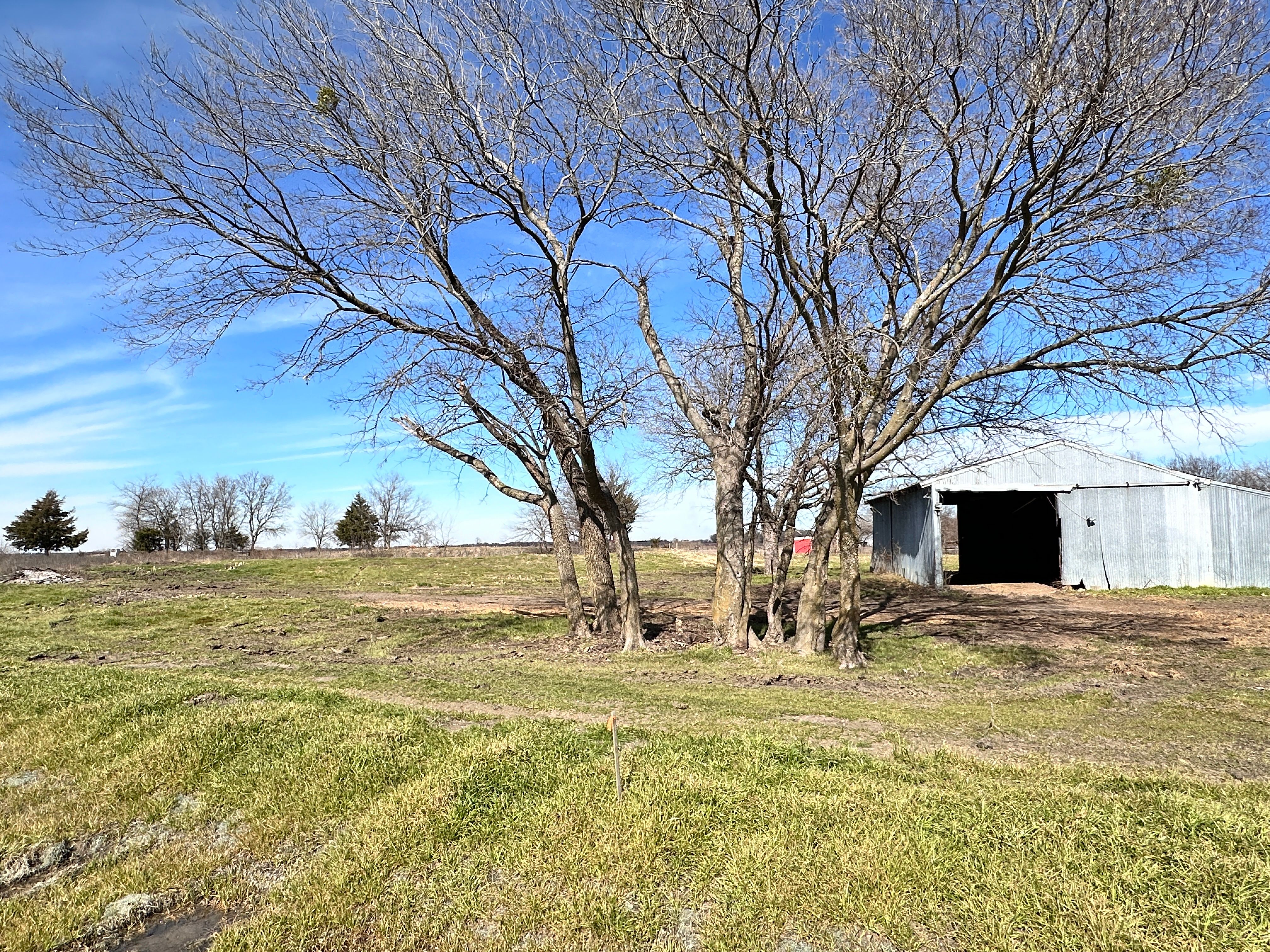 4008 Rolling Lane Greenville TX 75401