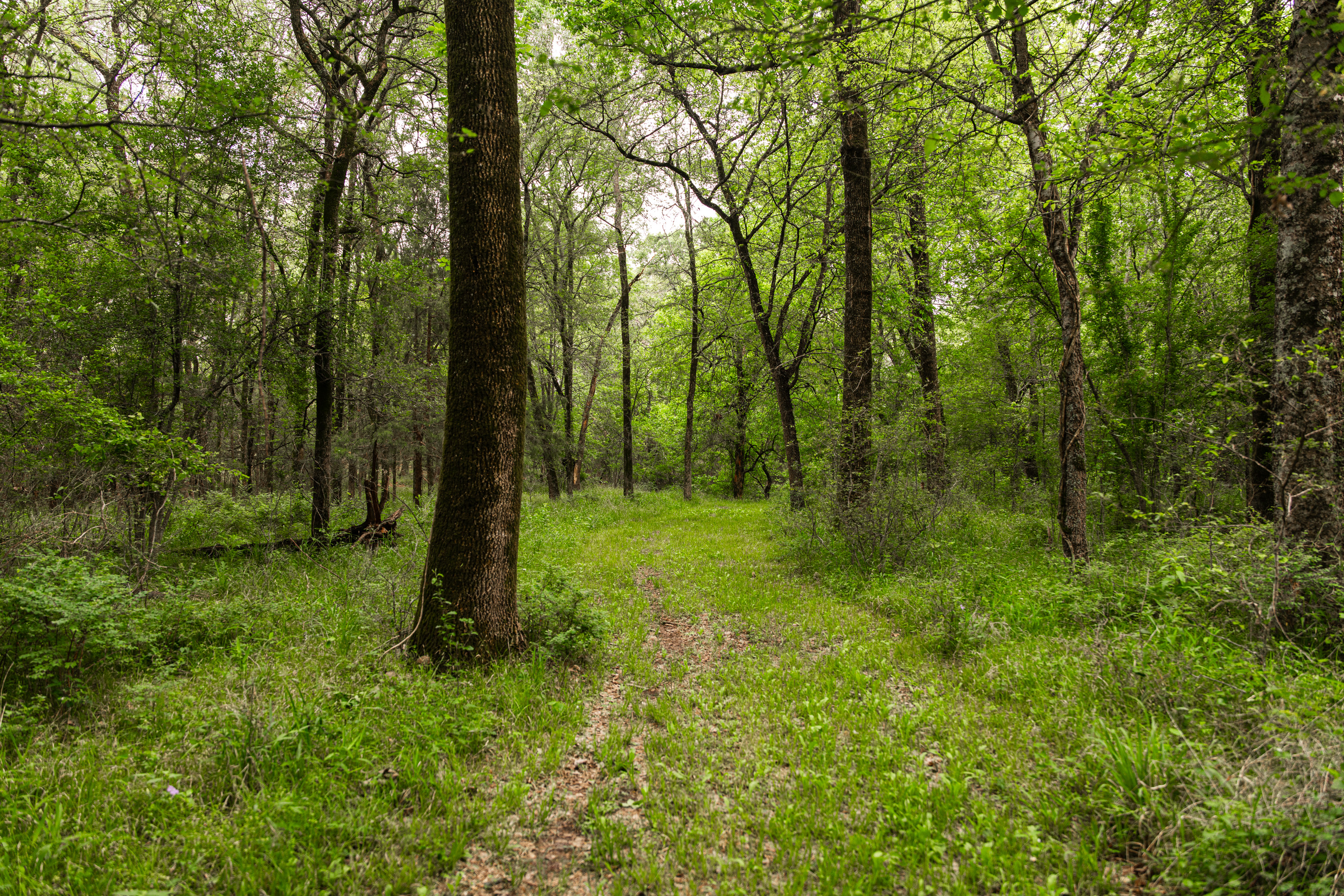 5531 NE County Road 3130 Kerens TX 75144