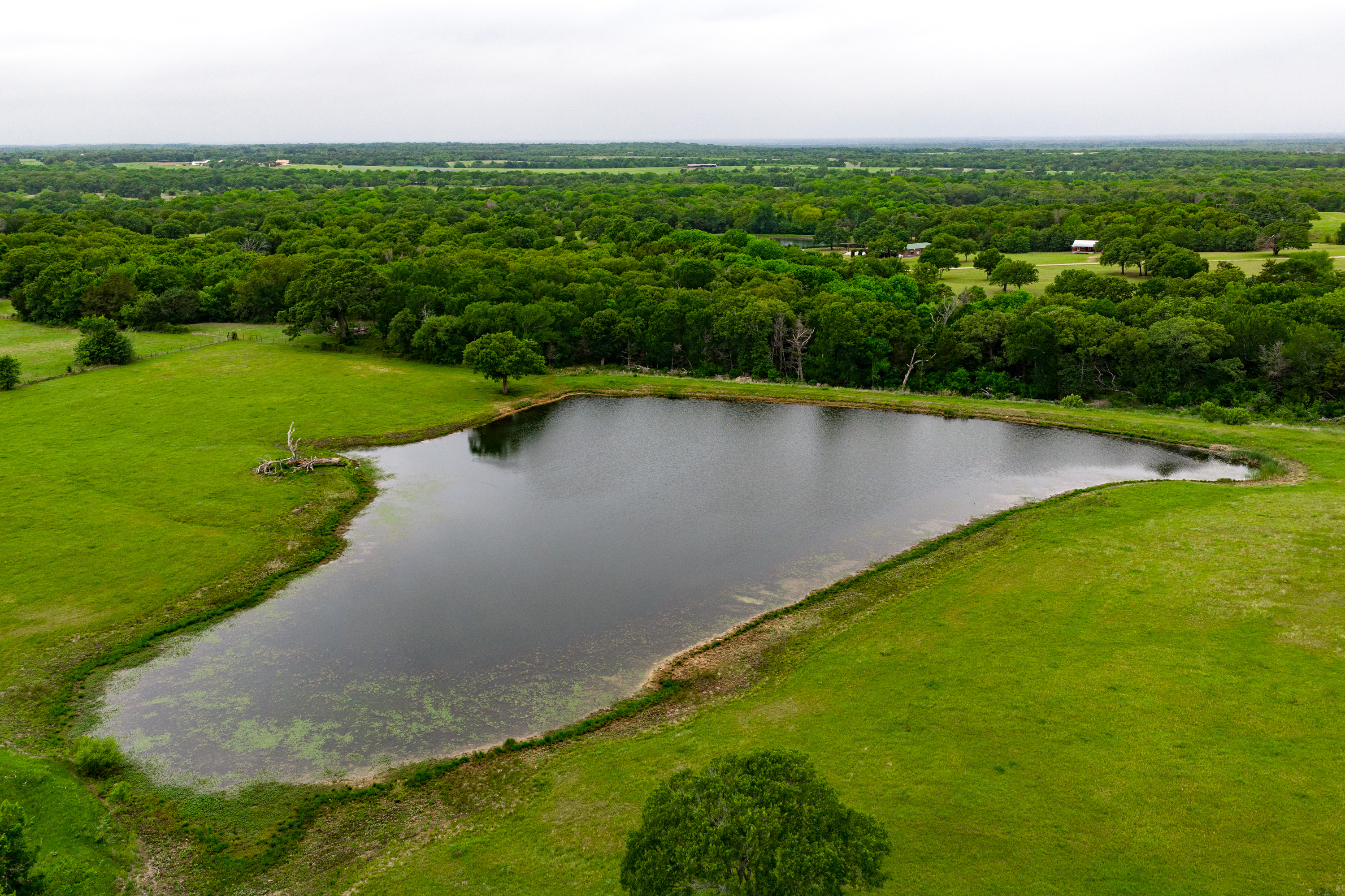 5531 NE County Road 3130 Kerens TX 75144