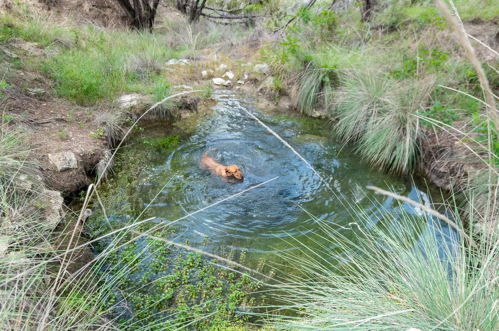 0 County Road 409 - Otra Vez Ranch Spicewood TX 78669