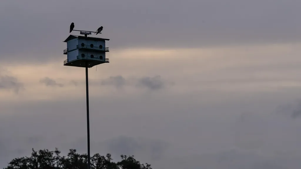 0 County Road 409 - Otra Vez Ranch Spicewood TX 78669