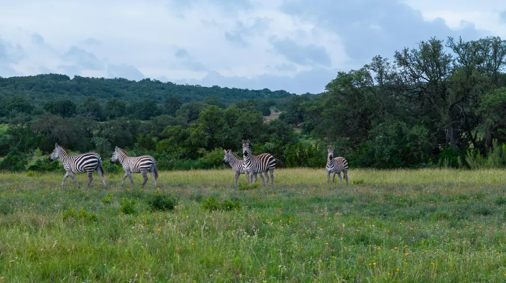 0 County Road 409 - Otra Vez Ranch Spicewood TX 78669