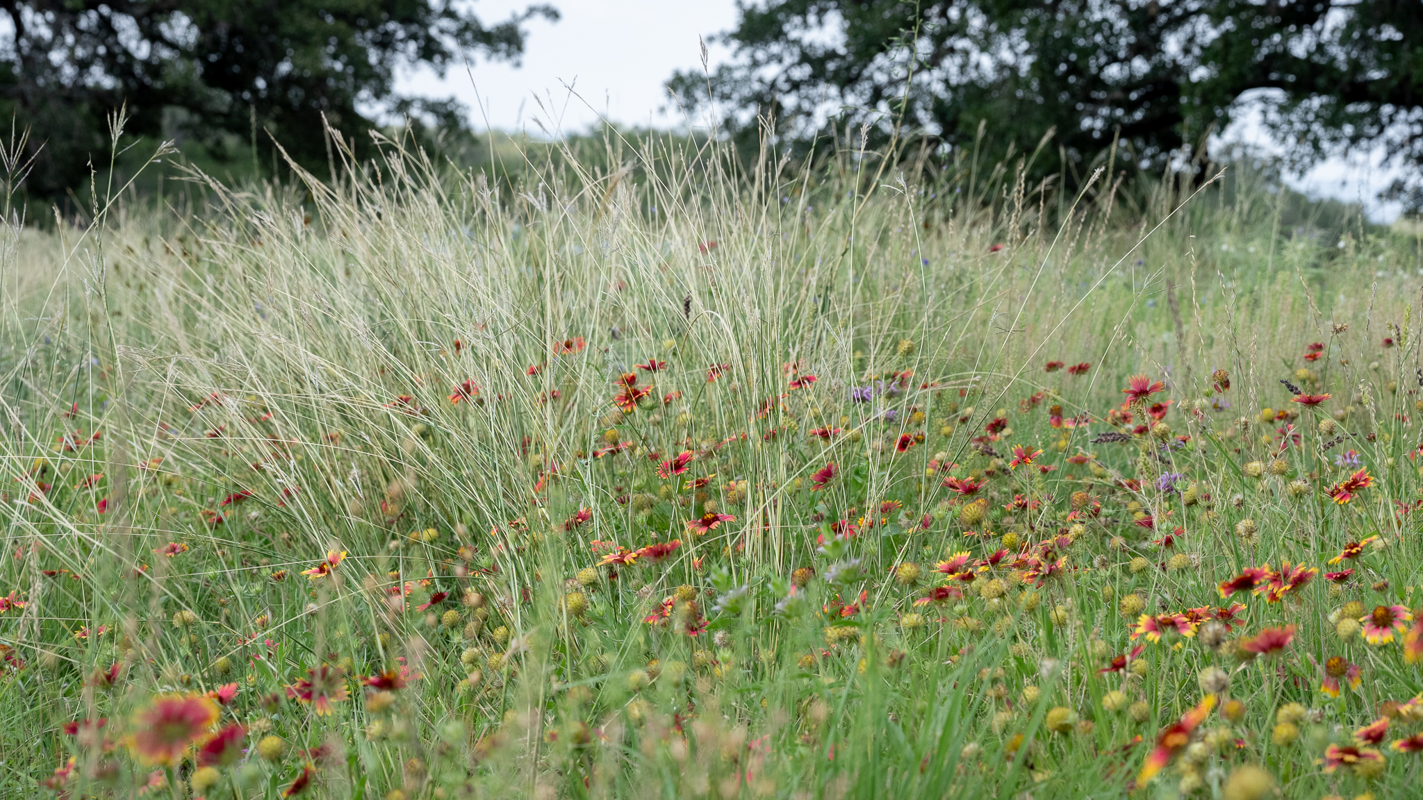 0 Cr 409 Spicewood TX 78669