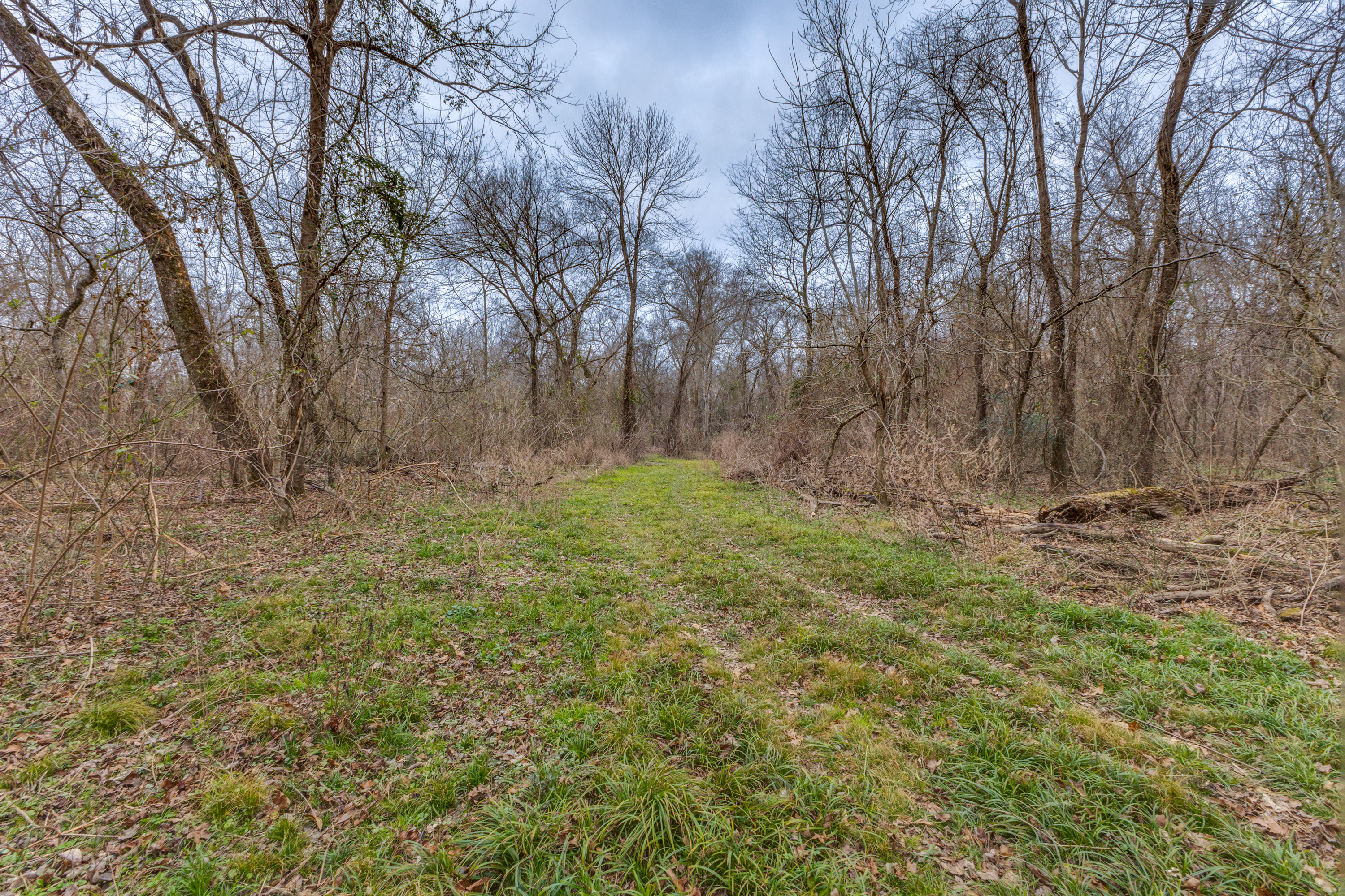 3025 Farm Road 900 W Saltillo TX 75478