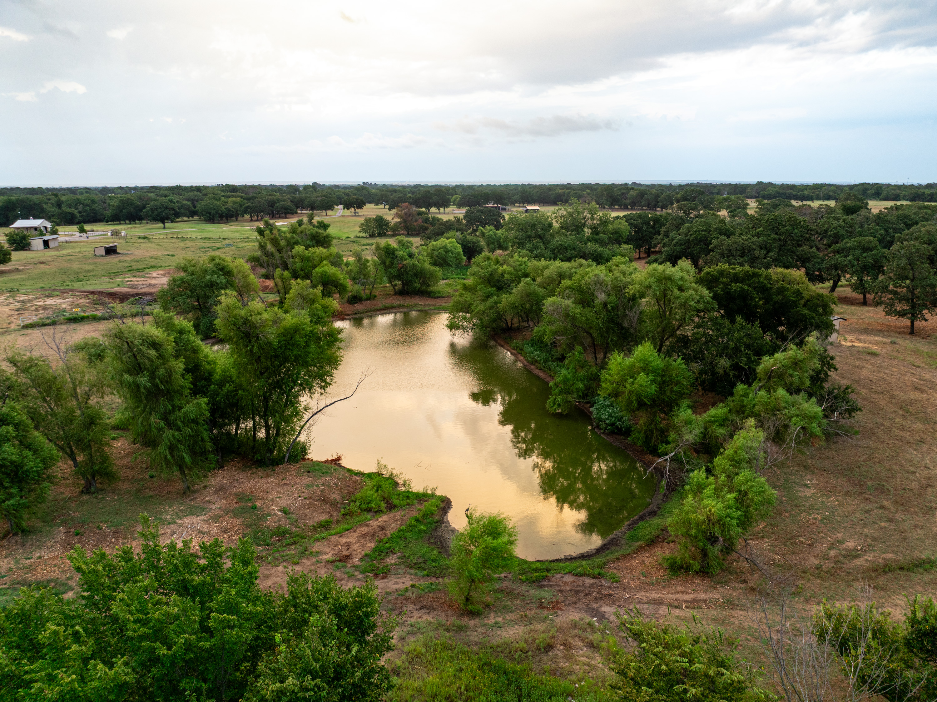 9940 Cole Road Pilot Point TX 76258
