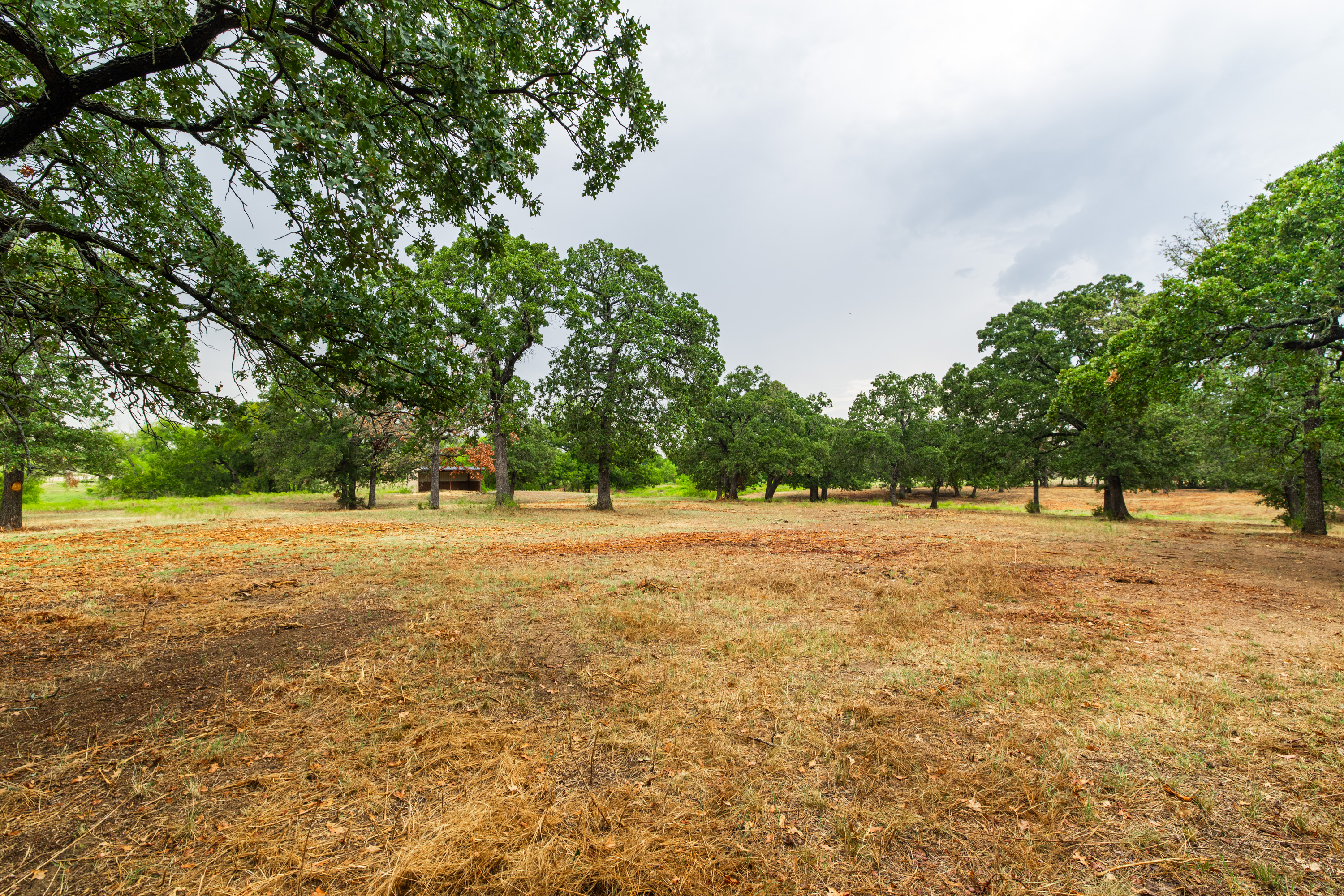 9940 Cole Road Pilot Point TX 76258