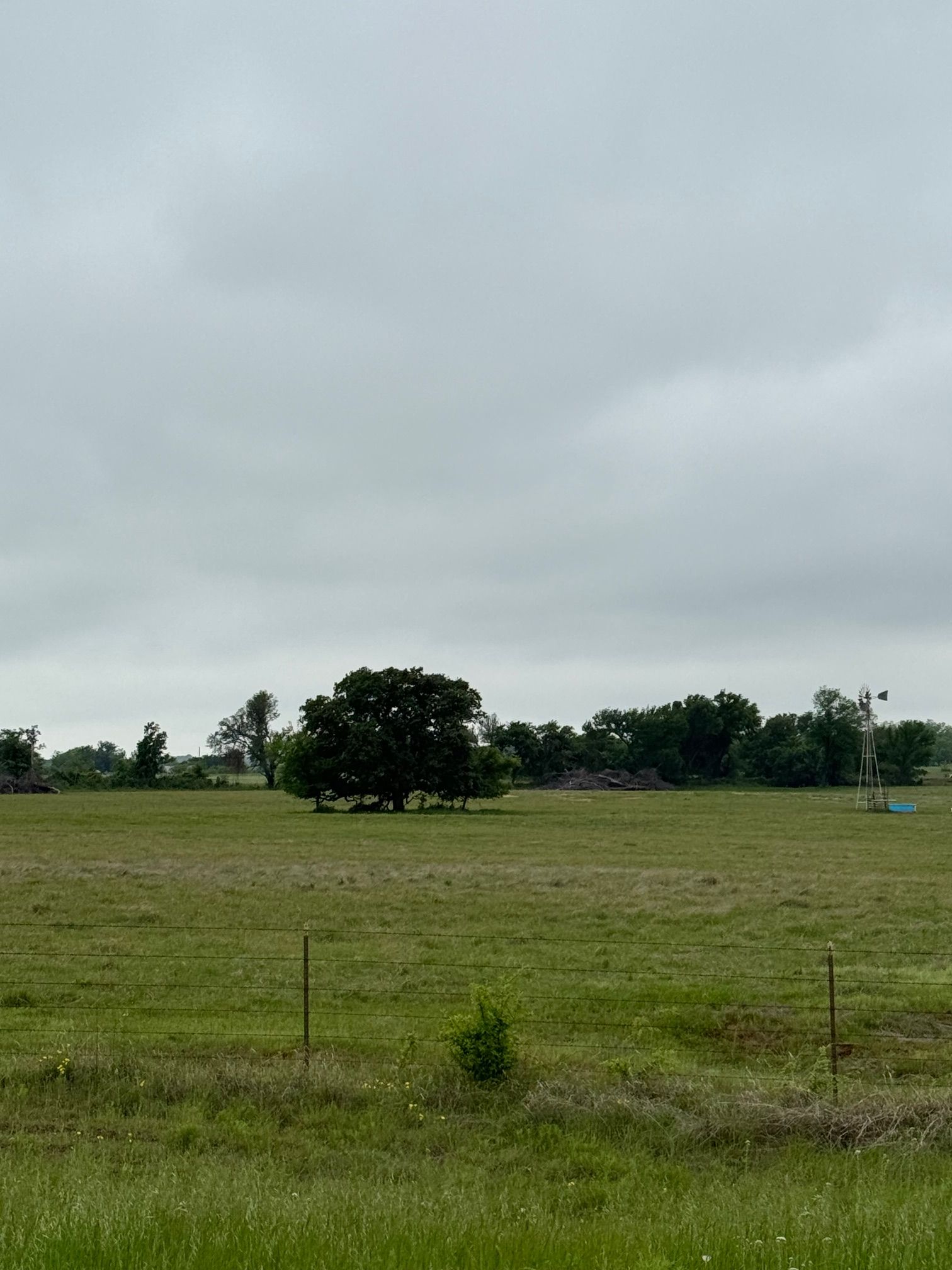 599 Lone Star Poolville TX 76487