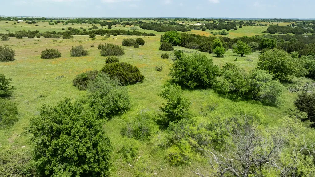 8225 Fm 1434 Cleburne TX 76033