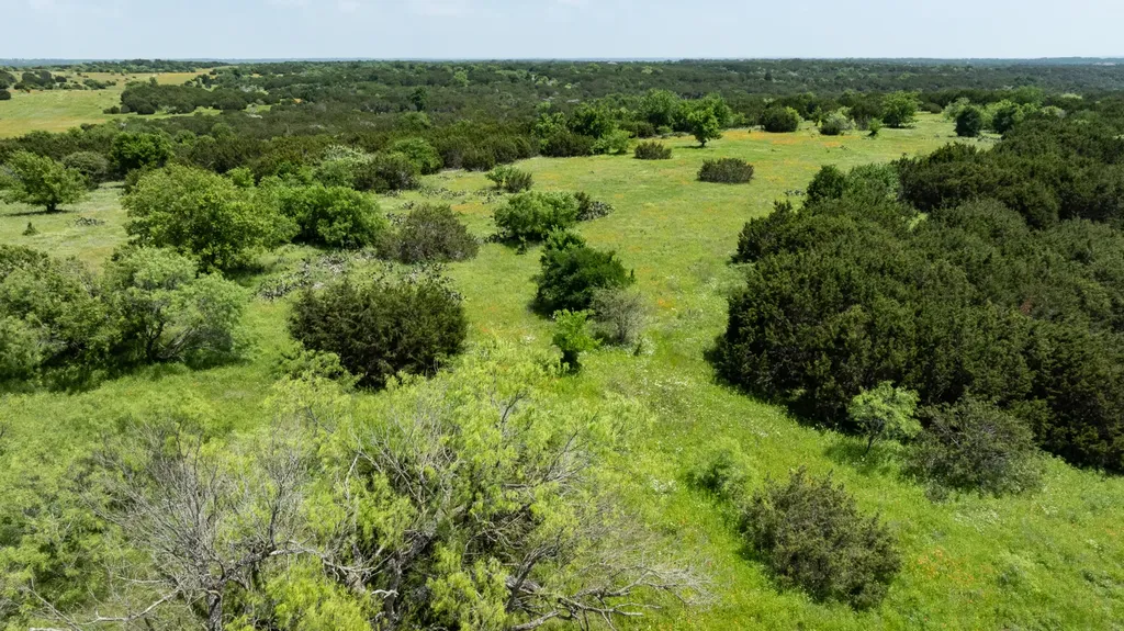 8225 Fm 1434 Cleburne TX 76033