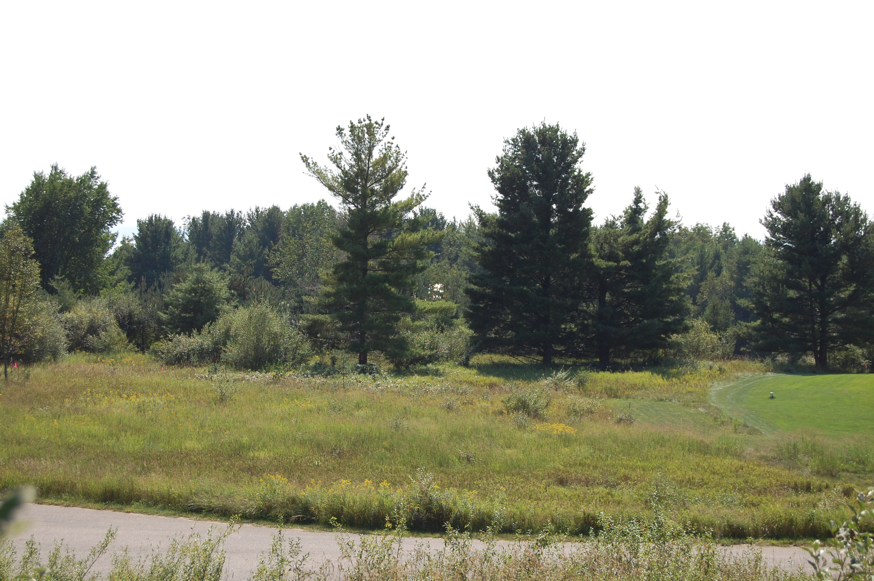 6936 Bay Heights Circle Harbor Springs MI 49740