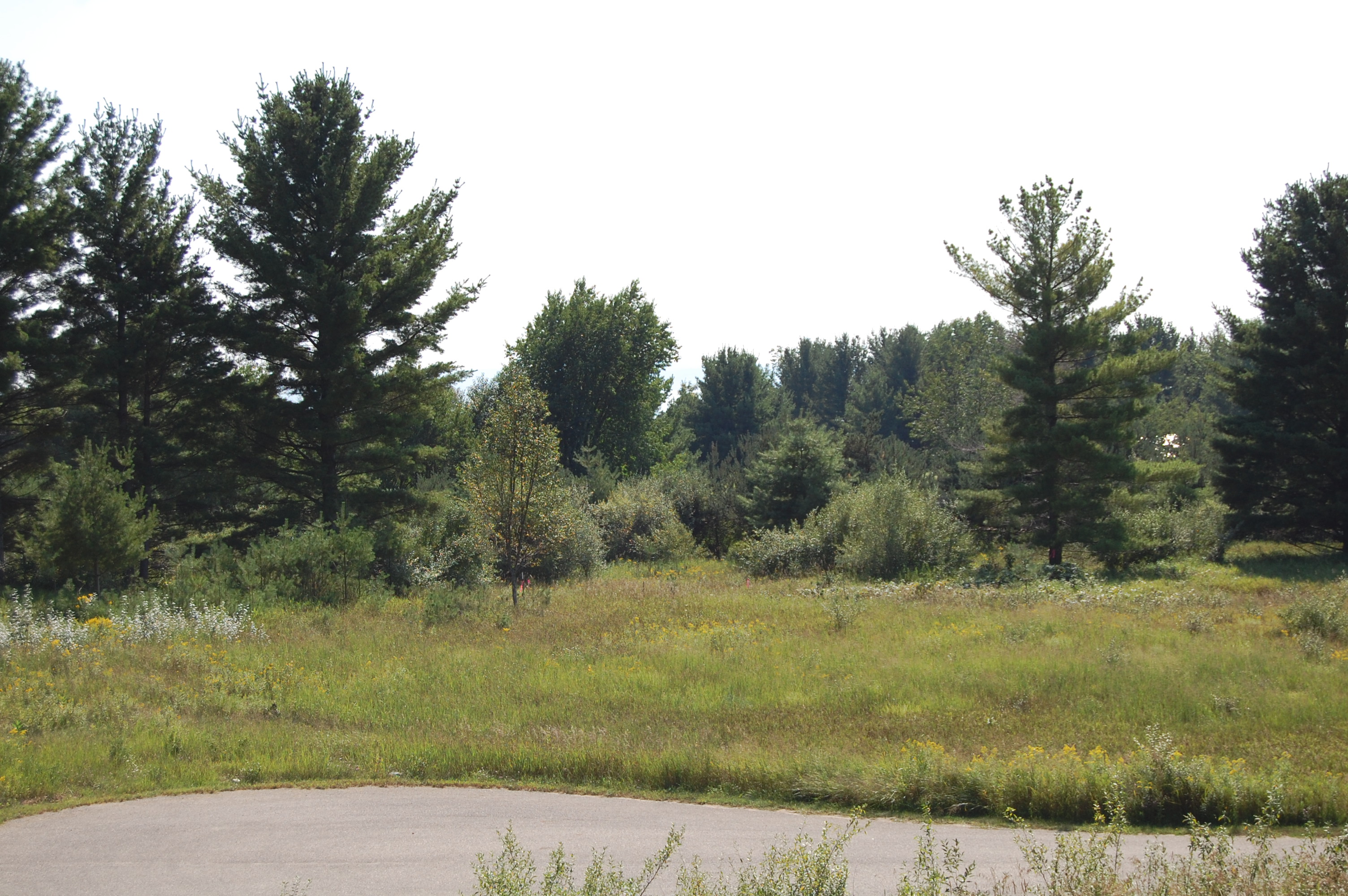 6936 Bay Heights Circle Harbor Springs MI 49740