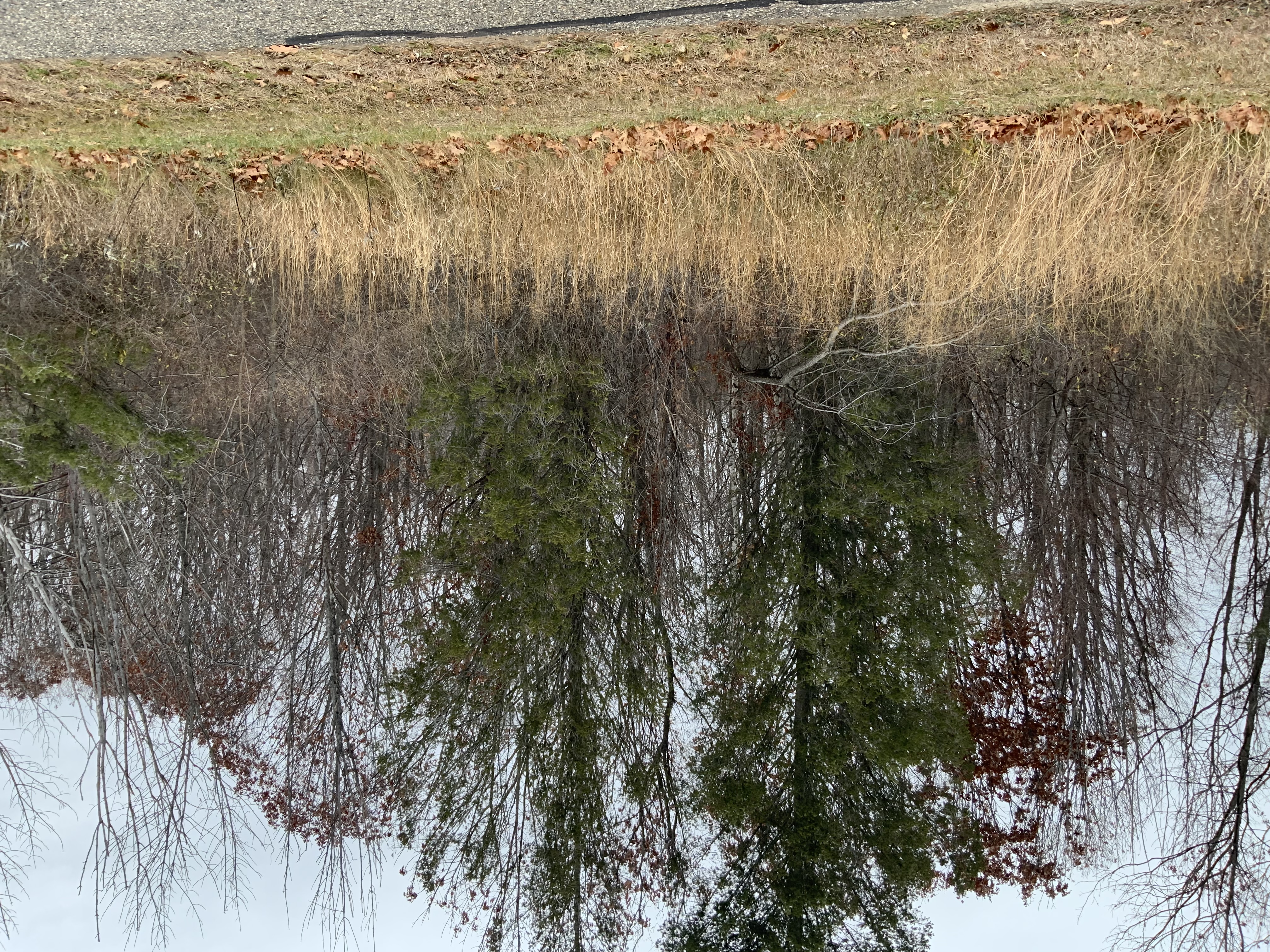 6936 Bay Heights Circle Harbor Springs MI 49740