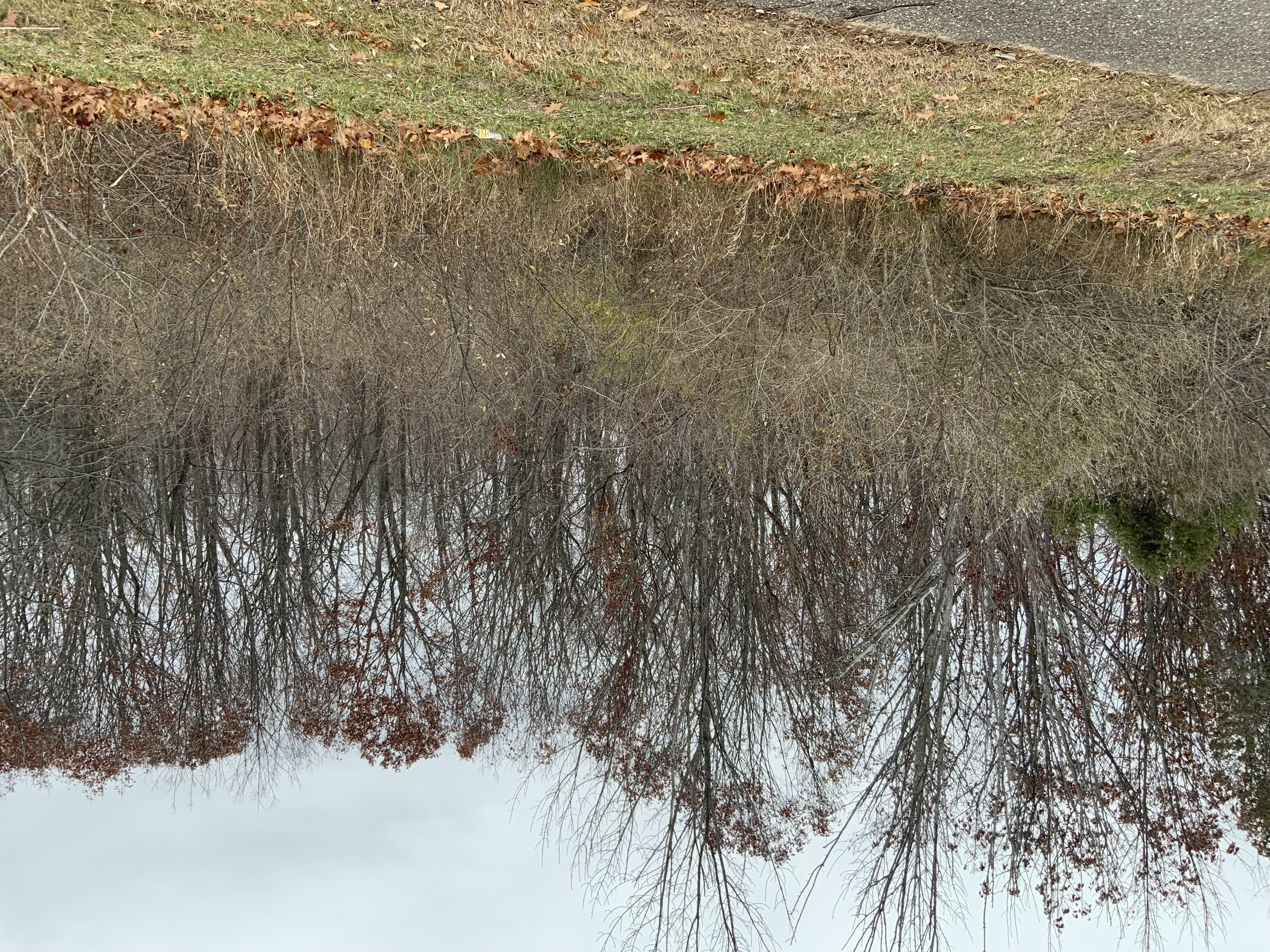 6936 Bay Heights Circle Harbor Springs MI 49740