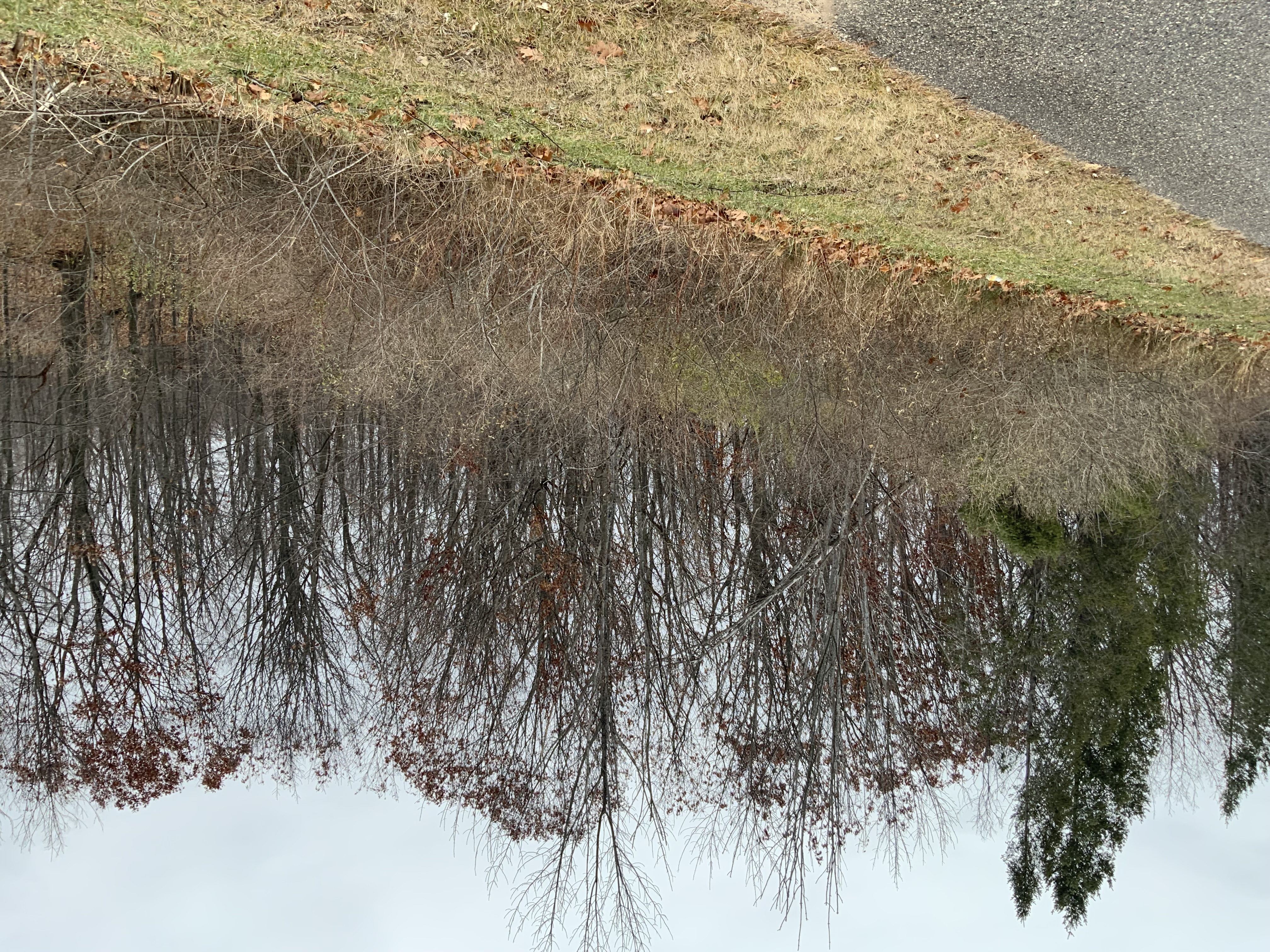 6936 Bay Heights Circle Harbor Springs MI 49740