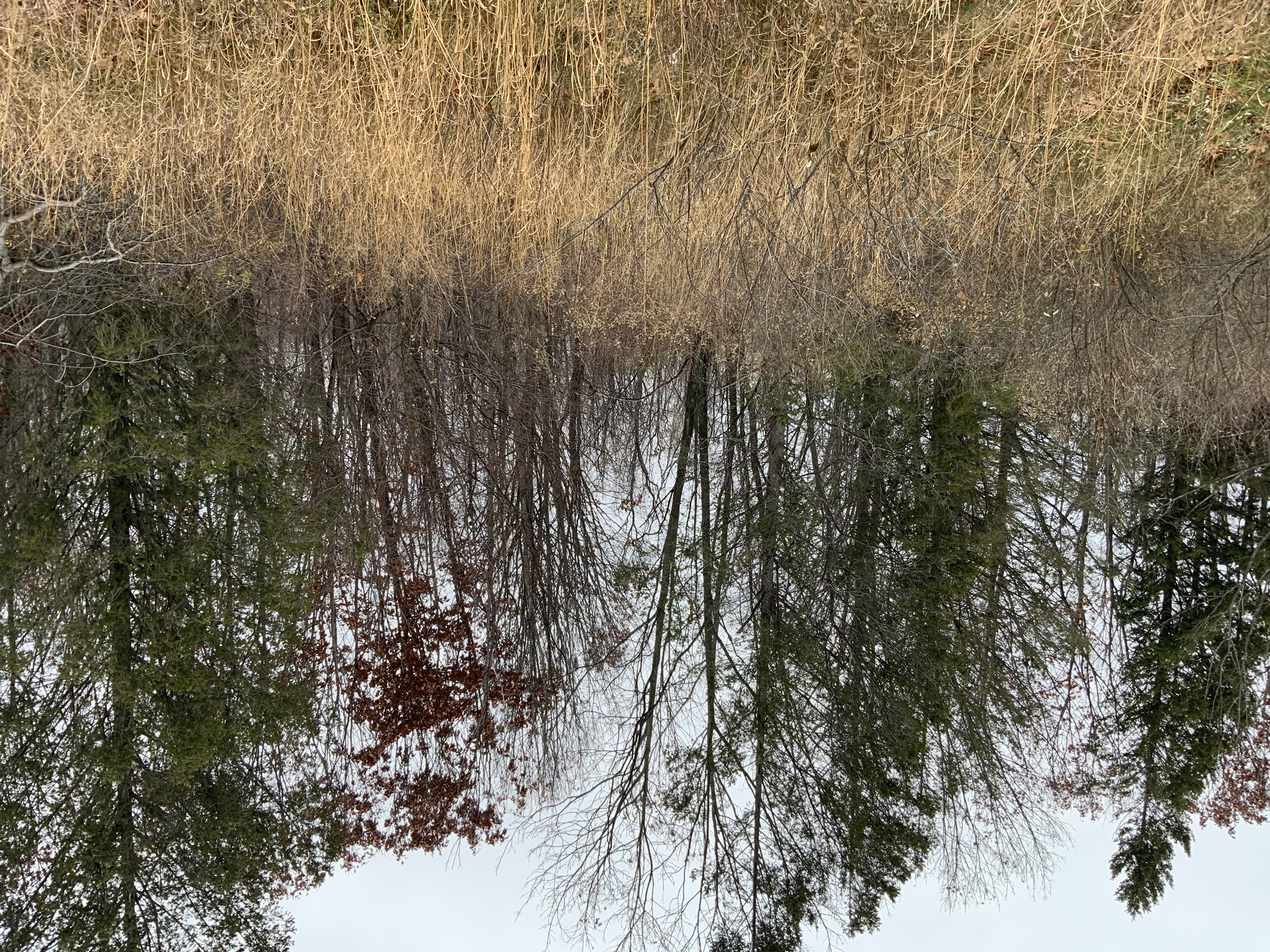 6936 Bay Heights Circle Harbor Springs MI 49740