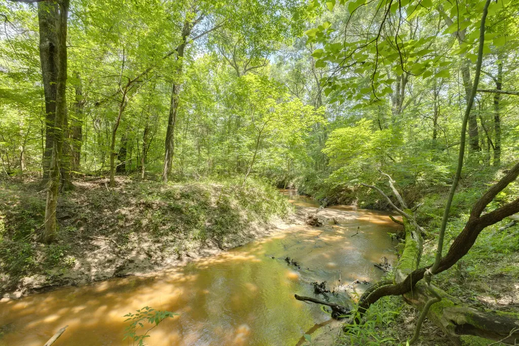 3181 Fm 274 Bonham TX 75418