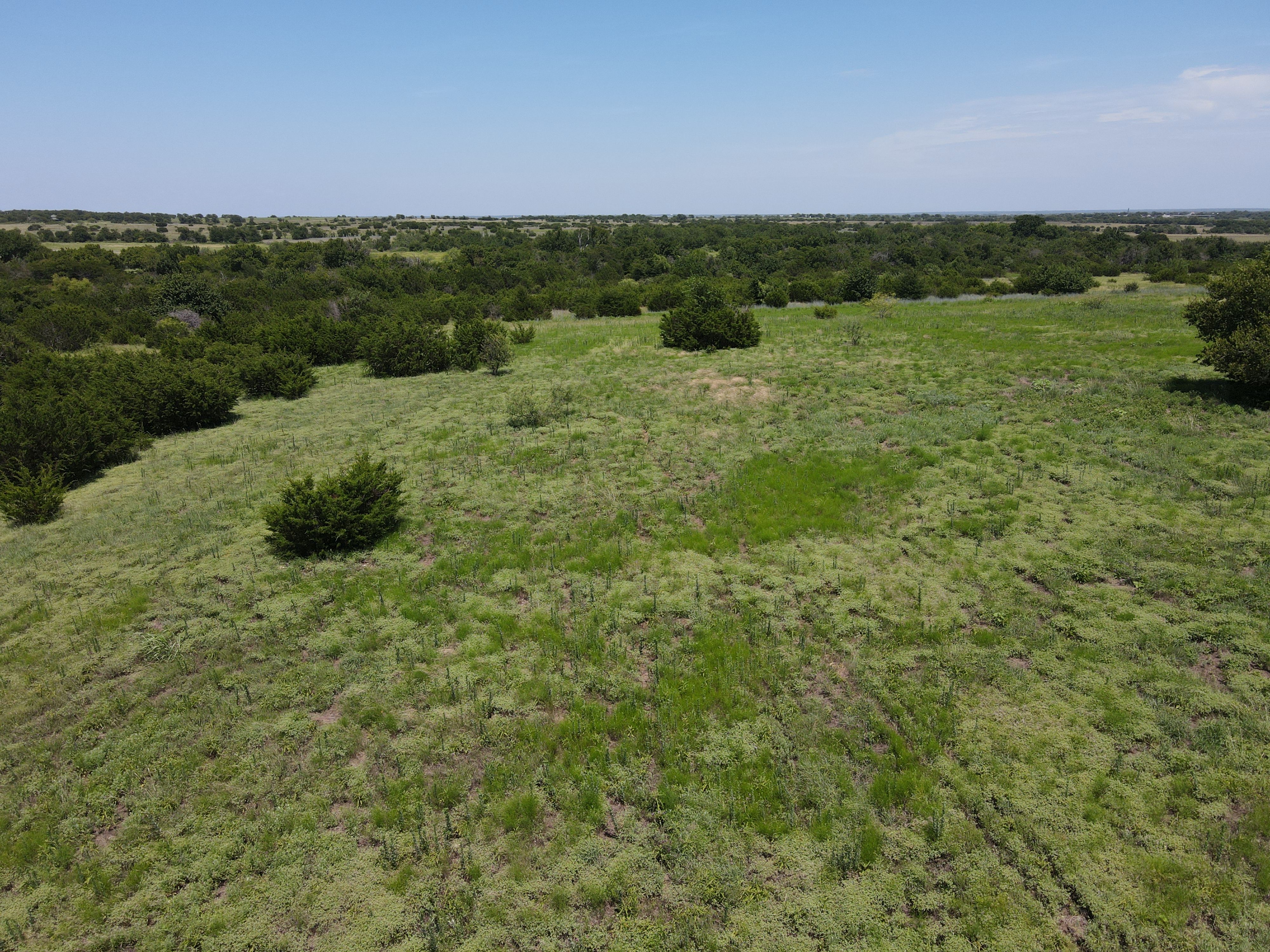 3681 County Road 1224 Cleburne TX 76033