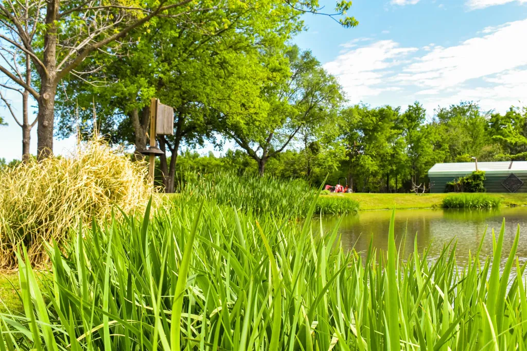 507 County Road 1960 Yantis TX 75497