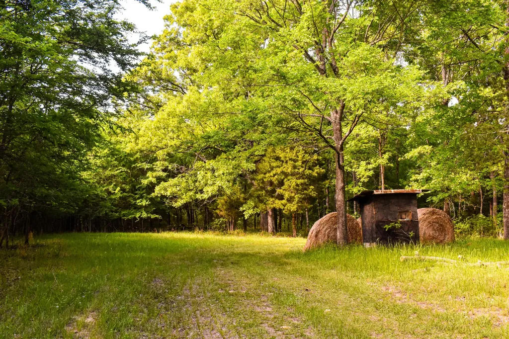 507 County Road 1960 Yantis TX 75497
