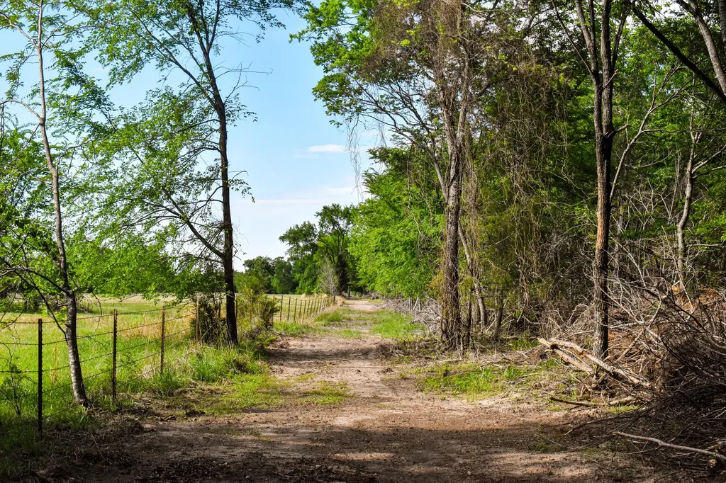 507 County Road 1960 Yantis TX 75497