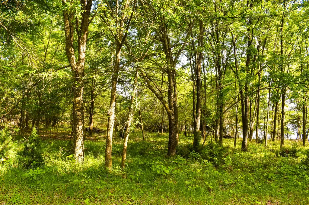 507 County Road 1960 Yantis TX 75497