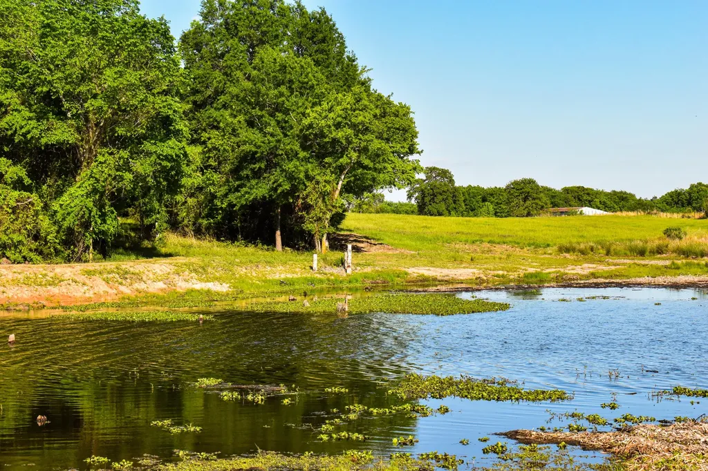 507 County Road 1960 Yantis TX 75497