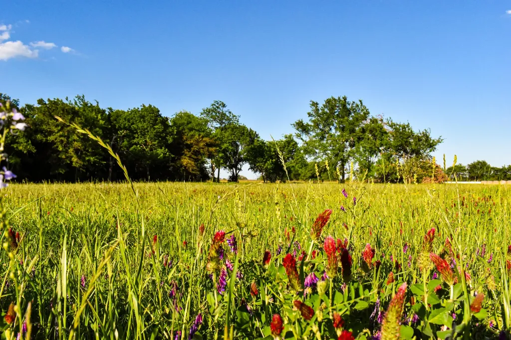 507 County Road 1960 Yantis TX 75497
