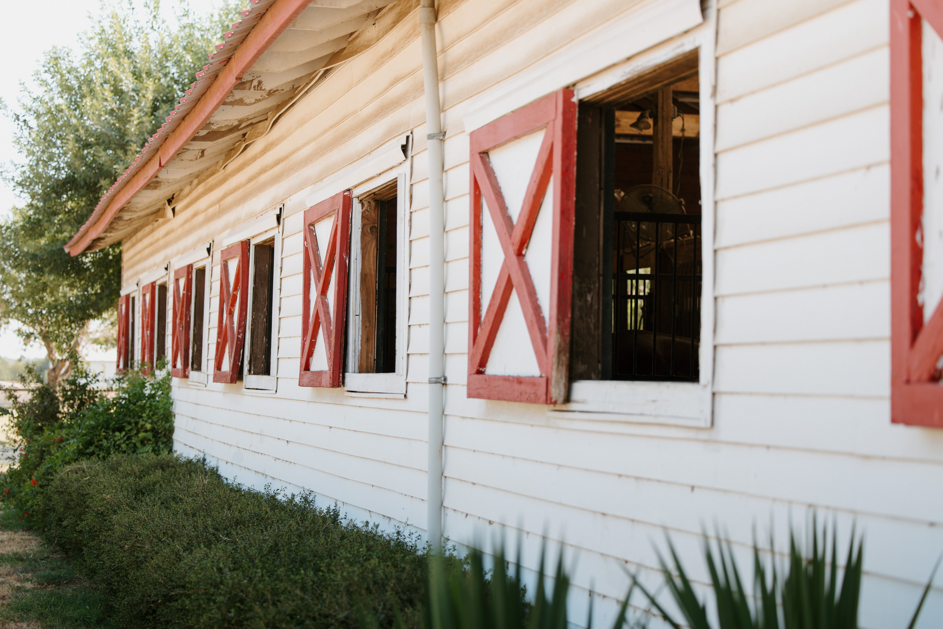 3800 Historic Lane Cross Roads TX 76227