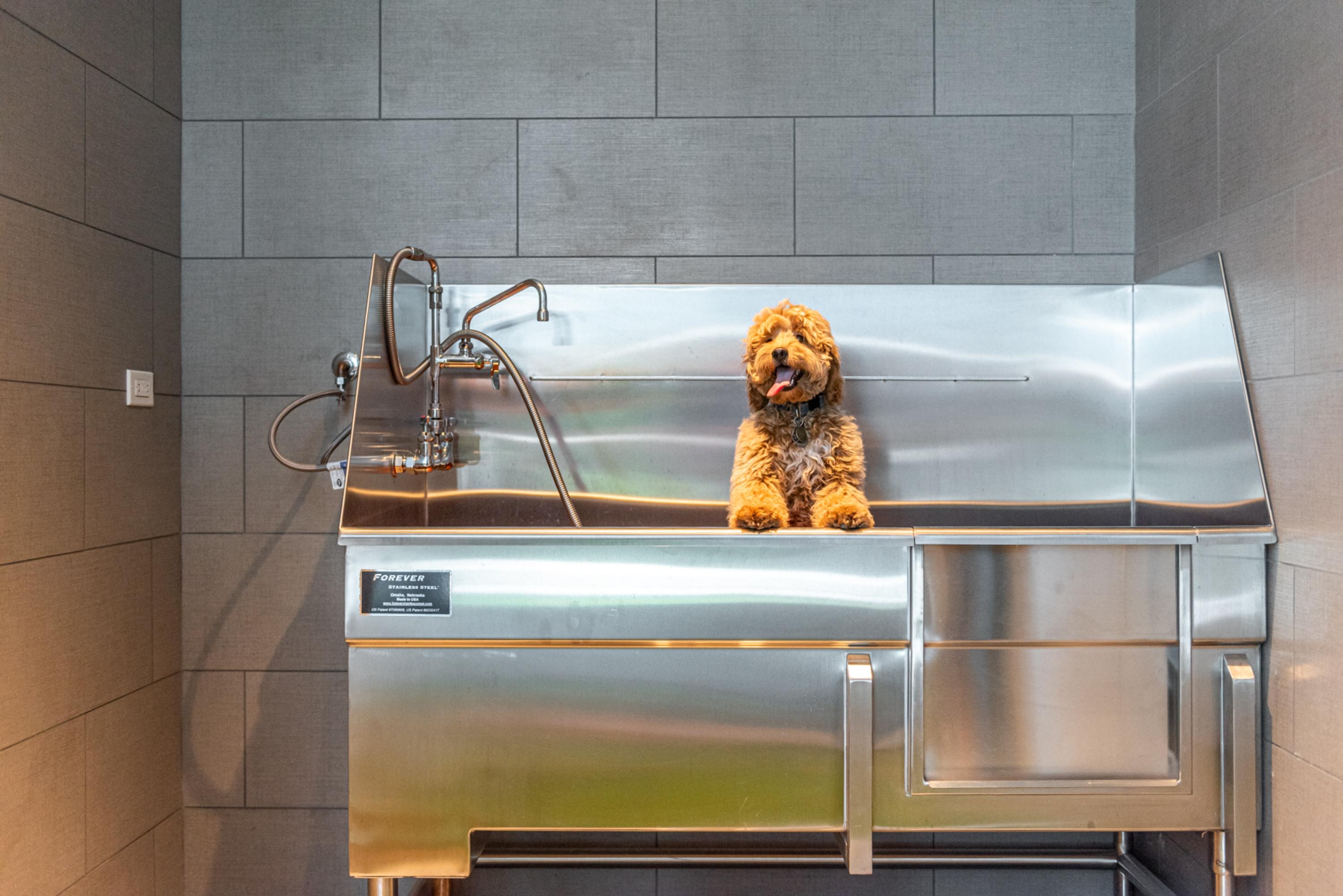 1747 Leonard Street Dallas TX 75201