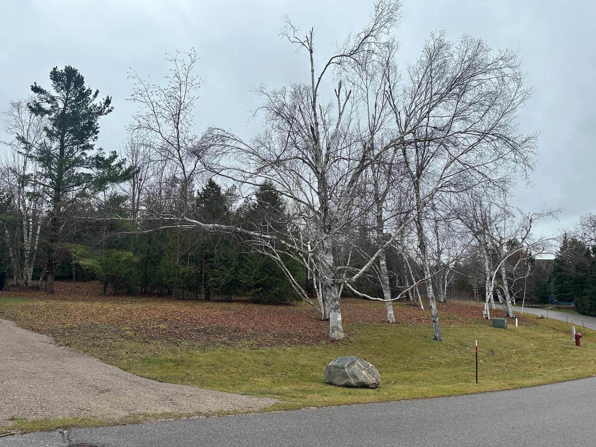 4585 Wildwinds Drive Bay Harbor MI 49770
