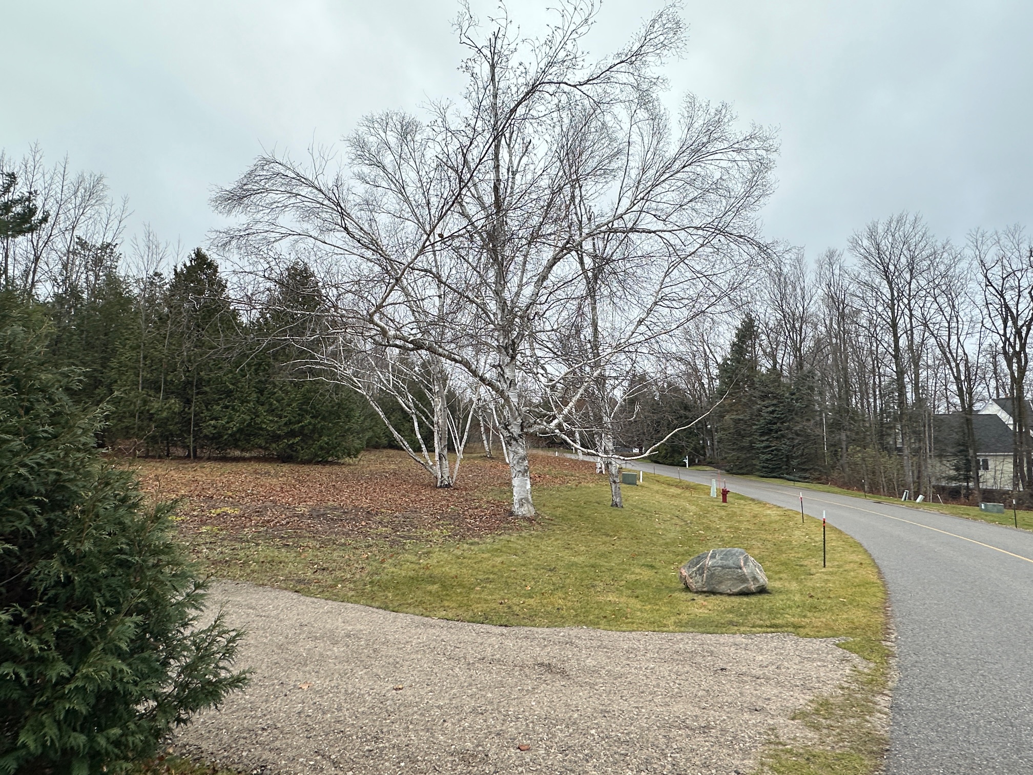 4585 Wildwinds Drive Bay Harbor MI 49770