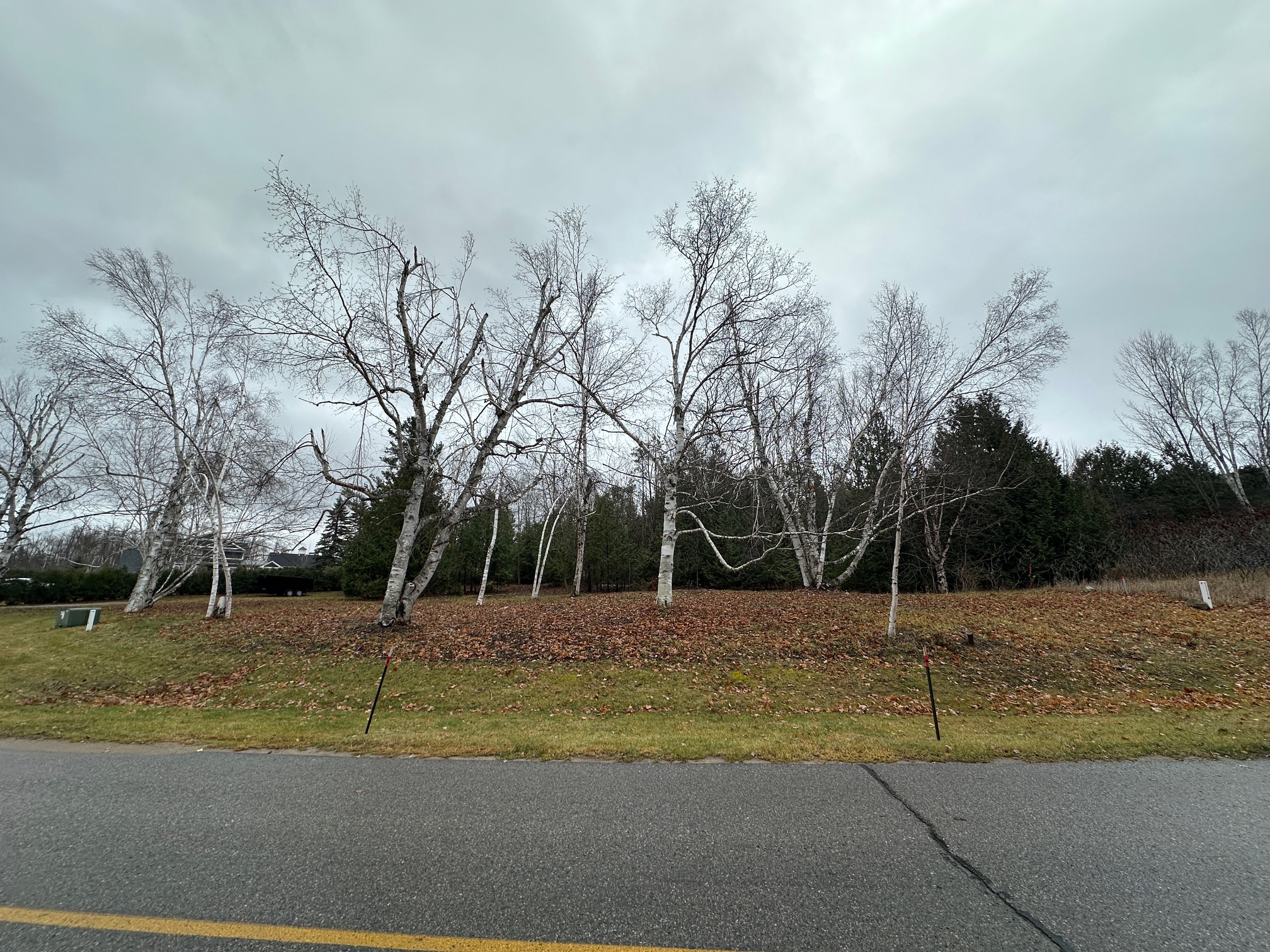 4585 Wildwinds Drive Bay Harbor MI 49770