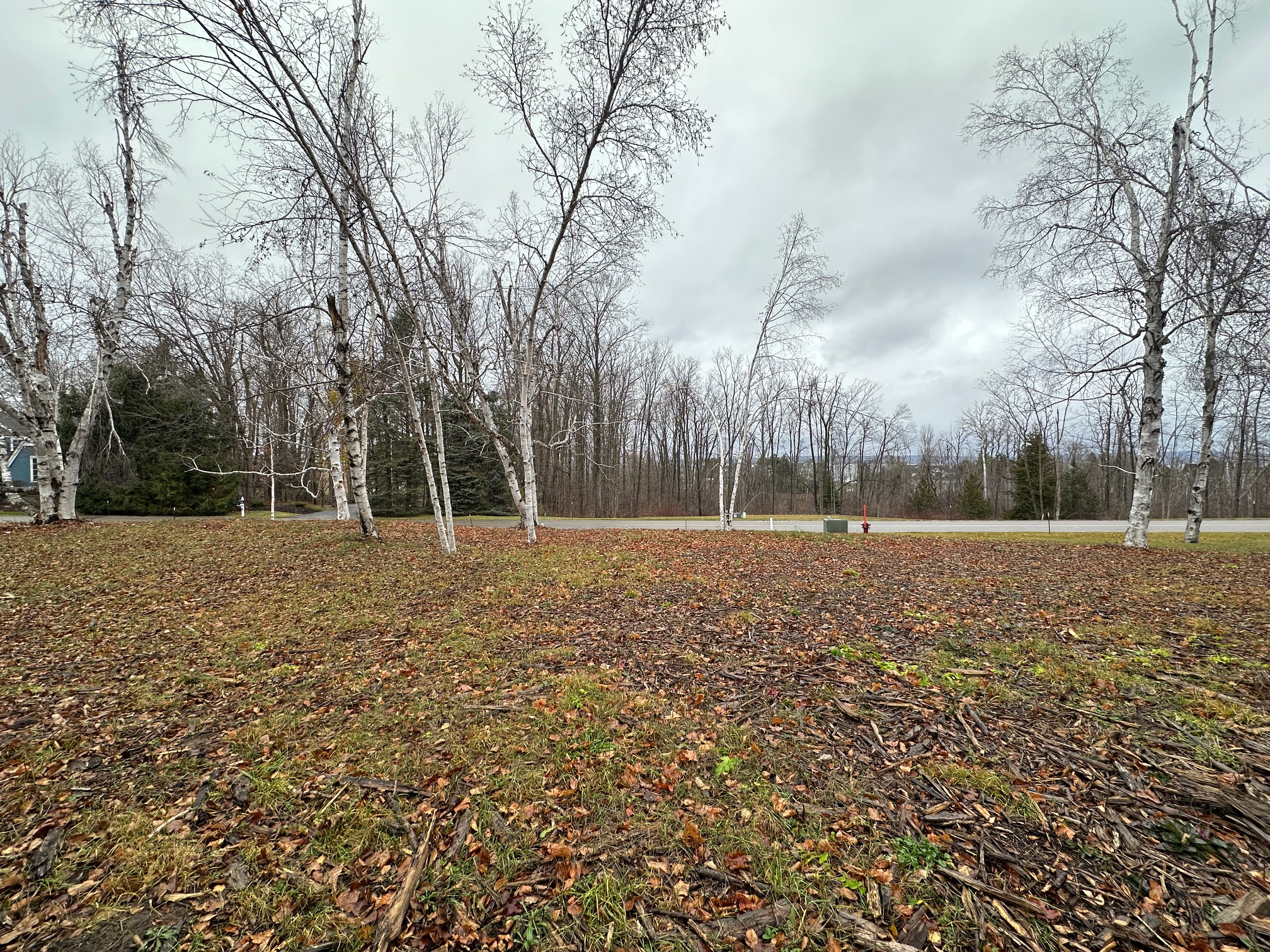 4585 Wildwinds Drive Bay Harbor MI 49770