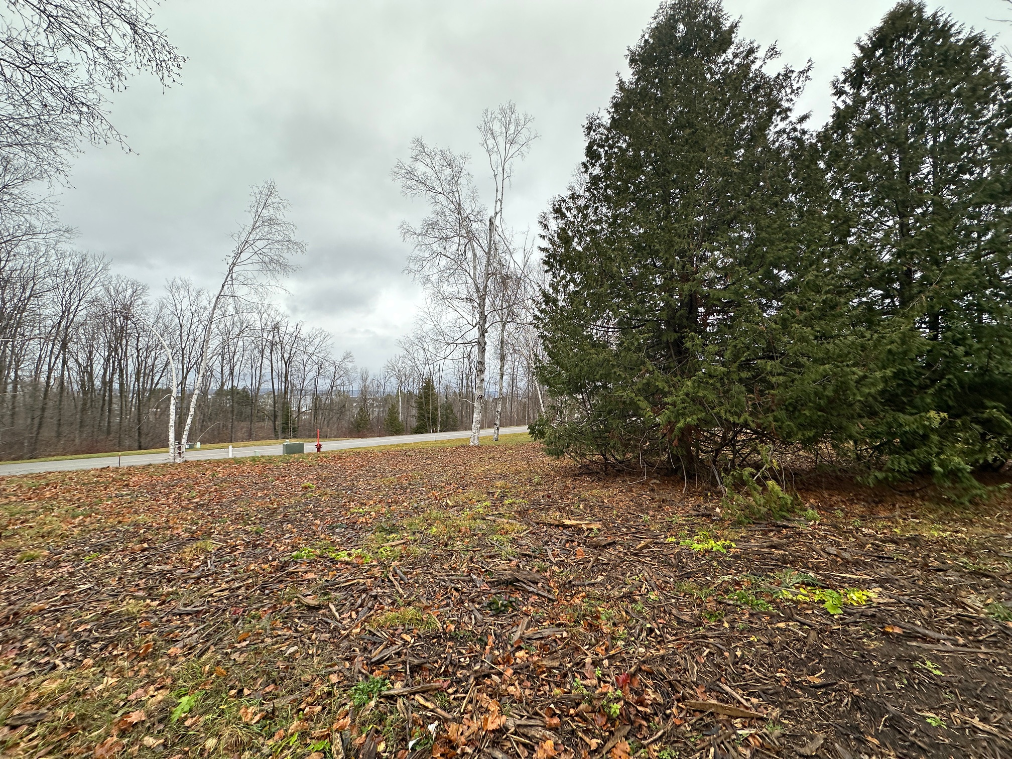 4585 Wildwinds Drive Bay Harbor MI 49770