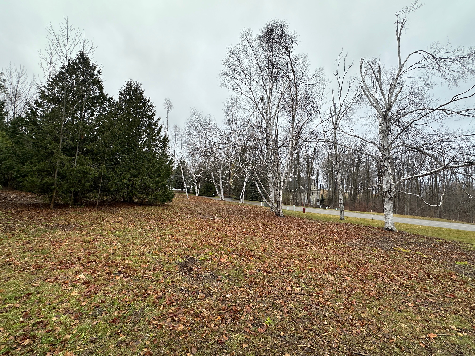 4585 Wildwinds Drive Bay Harbor MI 49770