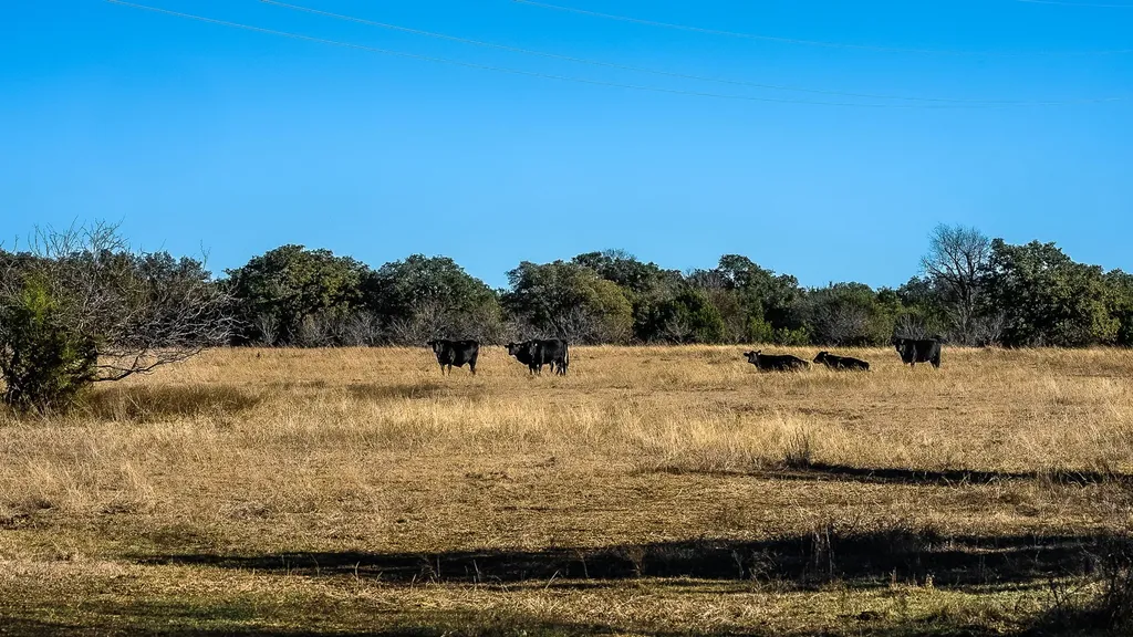 144 State Highway 144 - Lone Spring Ranch Meridian TX 76665