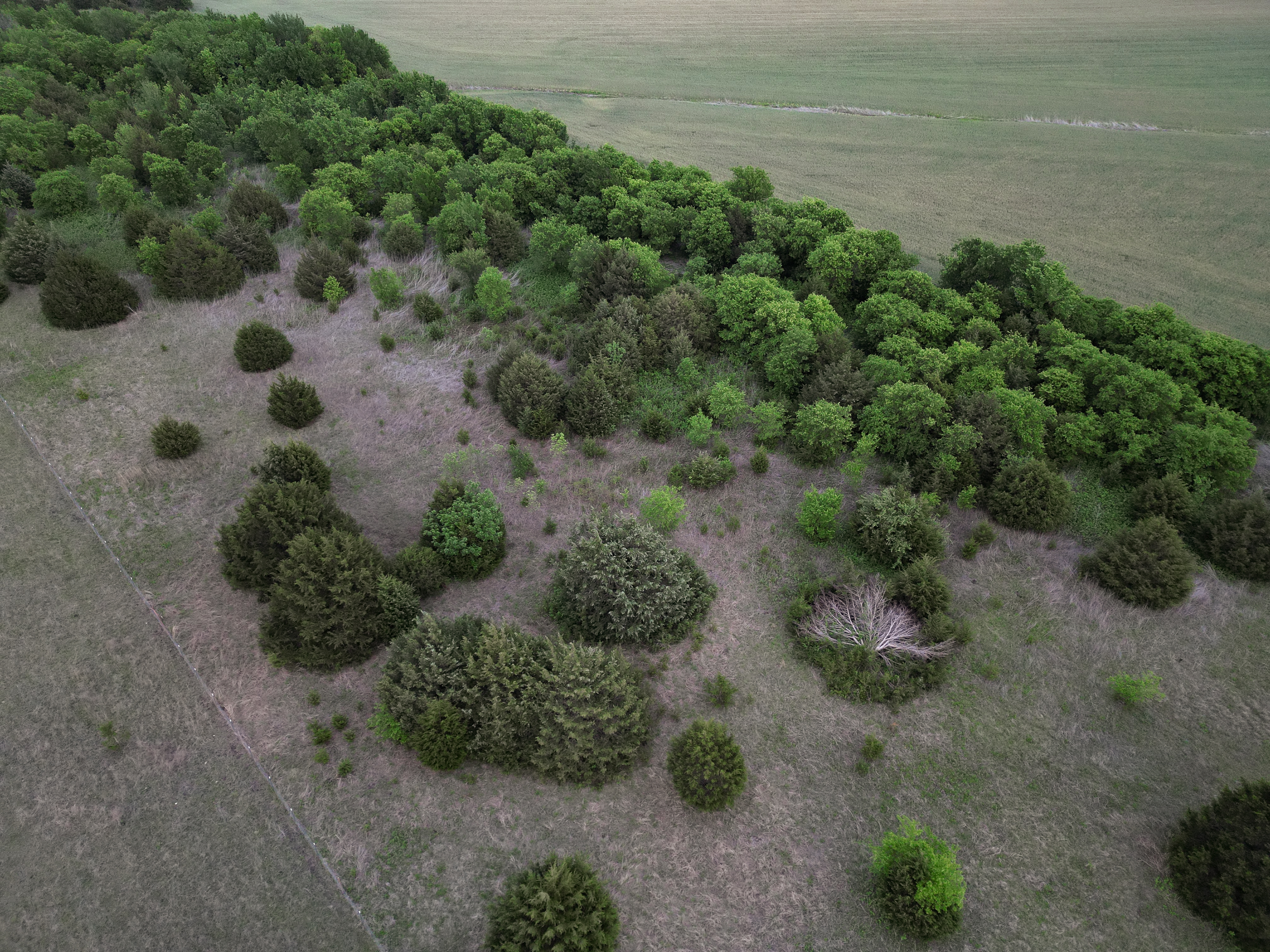 Tbd I-35 Waxahachie TX 75165