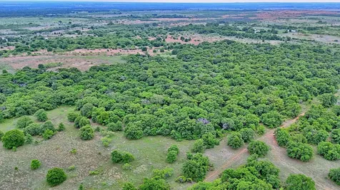 3377 Lodge Creek Road Henrietta TX 76365
