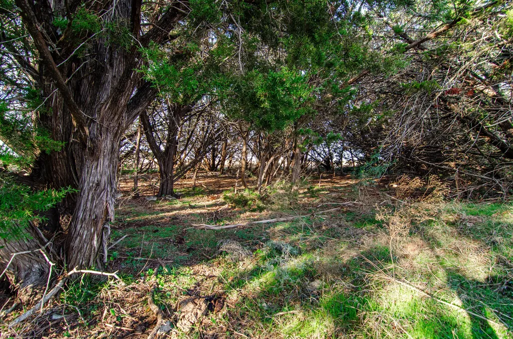 220 Sh 220 Iredell TX 76649