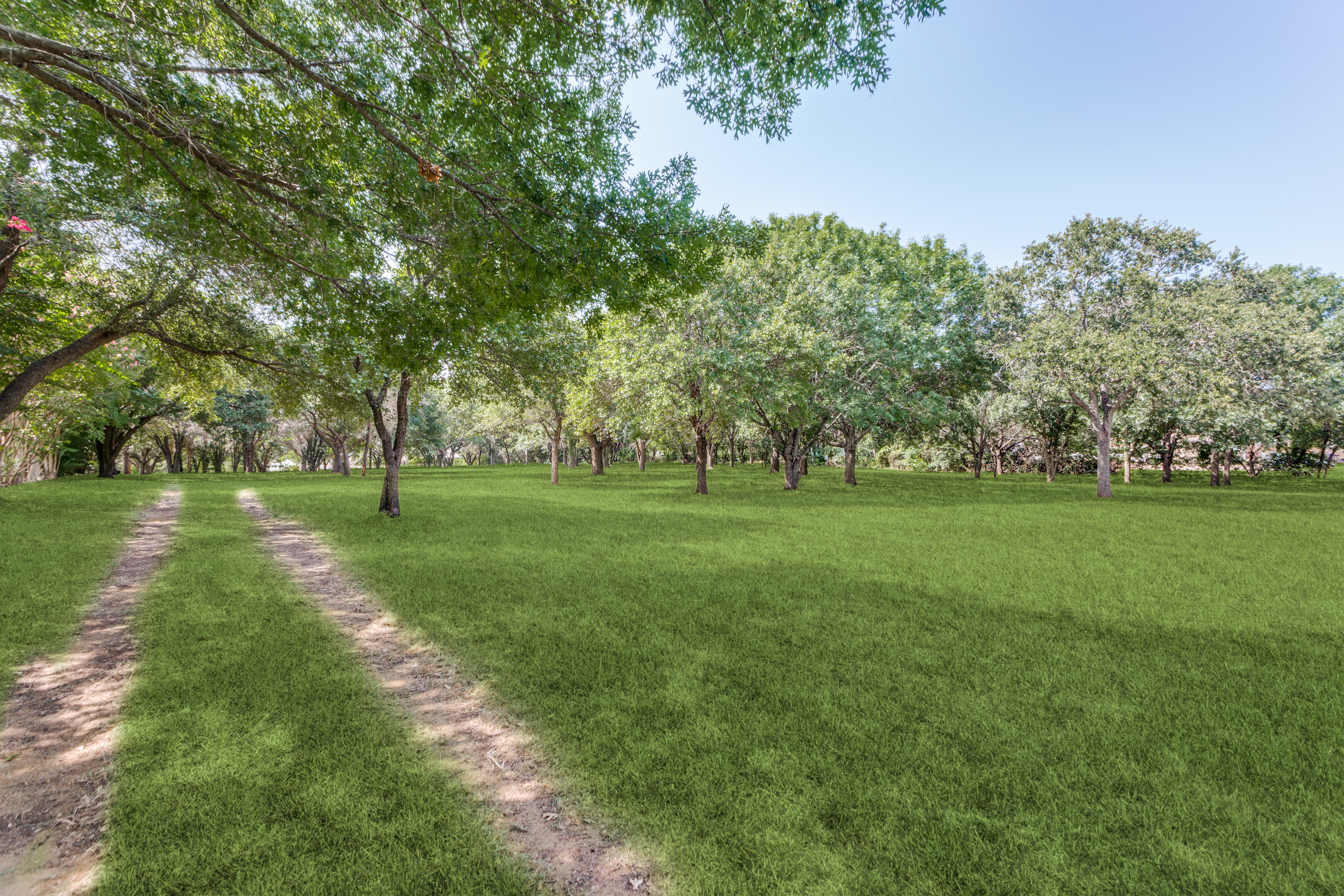 262 Turner Warnell Road Mansfield TX 76063