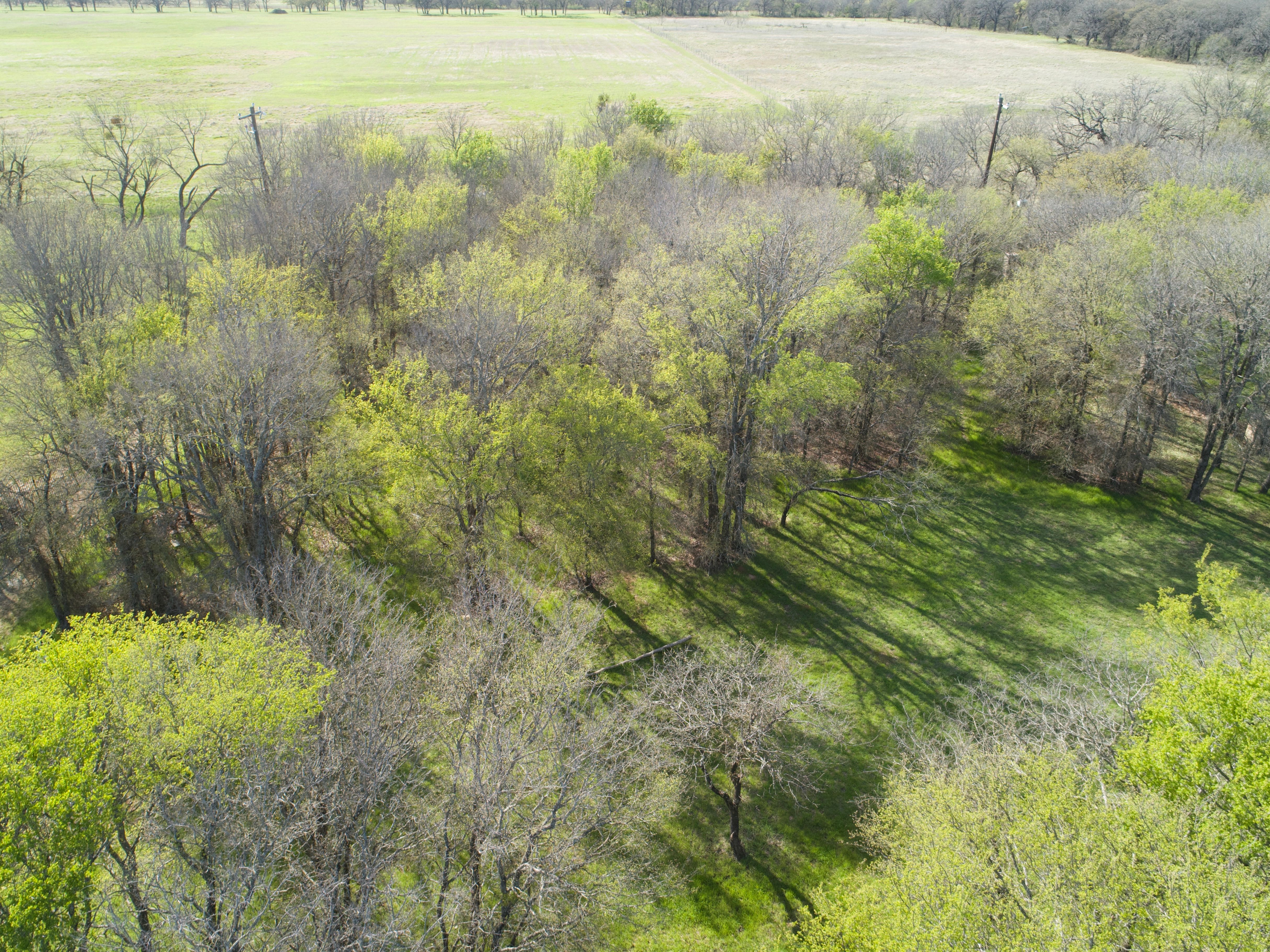 352 Sugartree Circle Lipan TX 76462