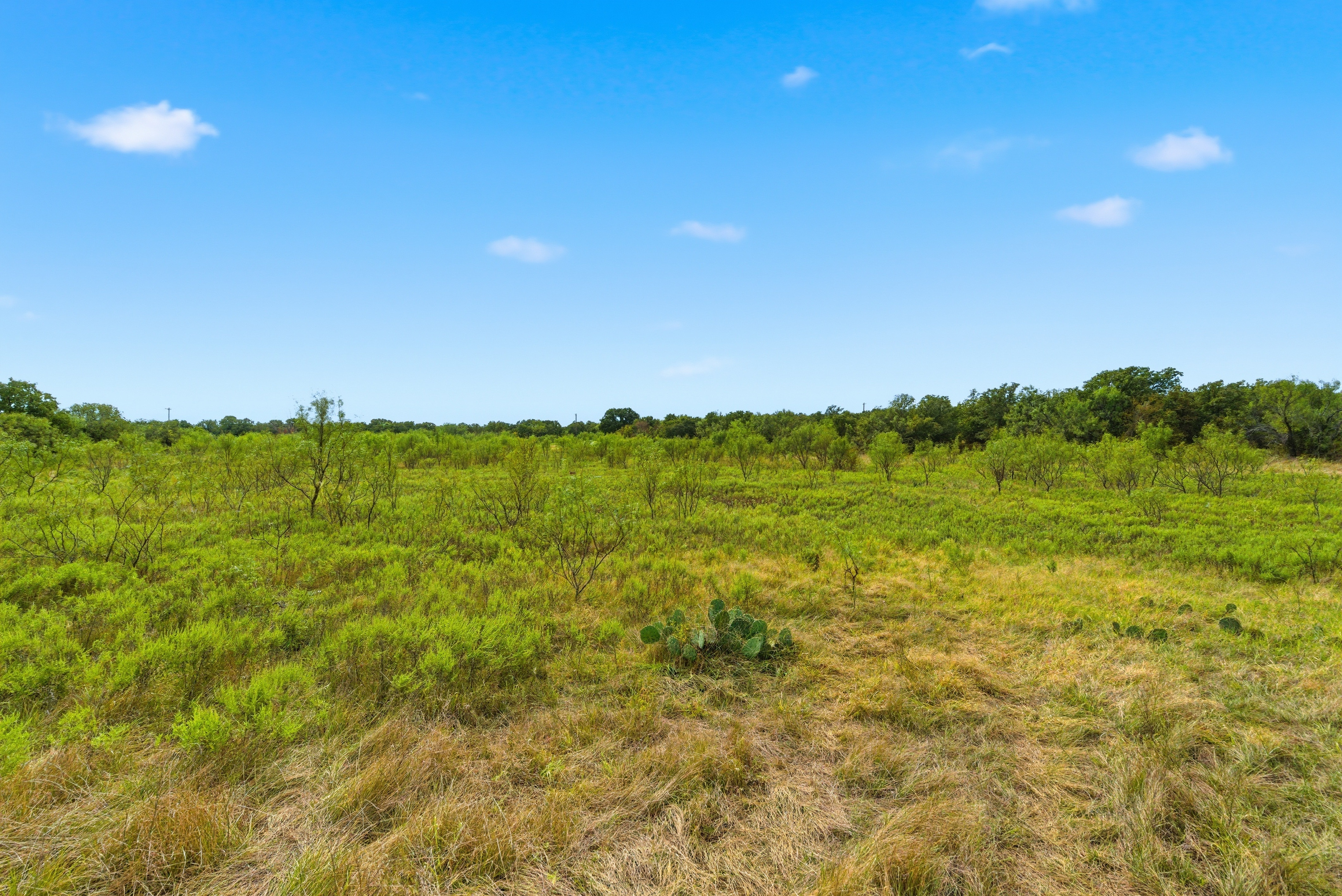 Tbd Highway 16 N Graham TX 76450