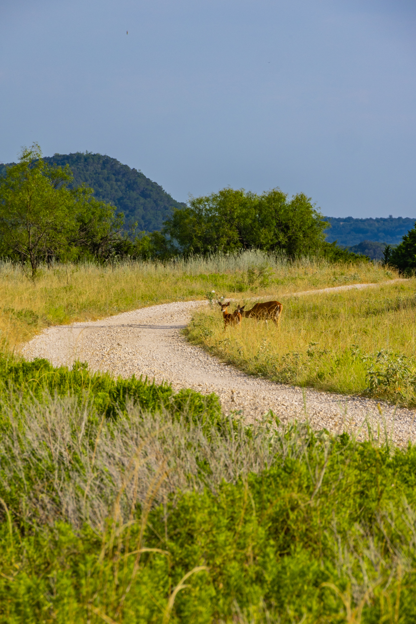Tbd Fortune Bend Road Graford TX 76449