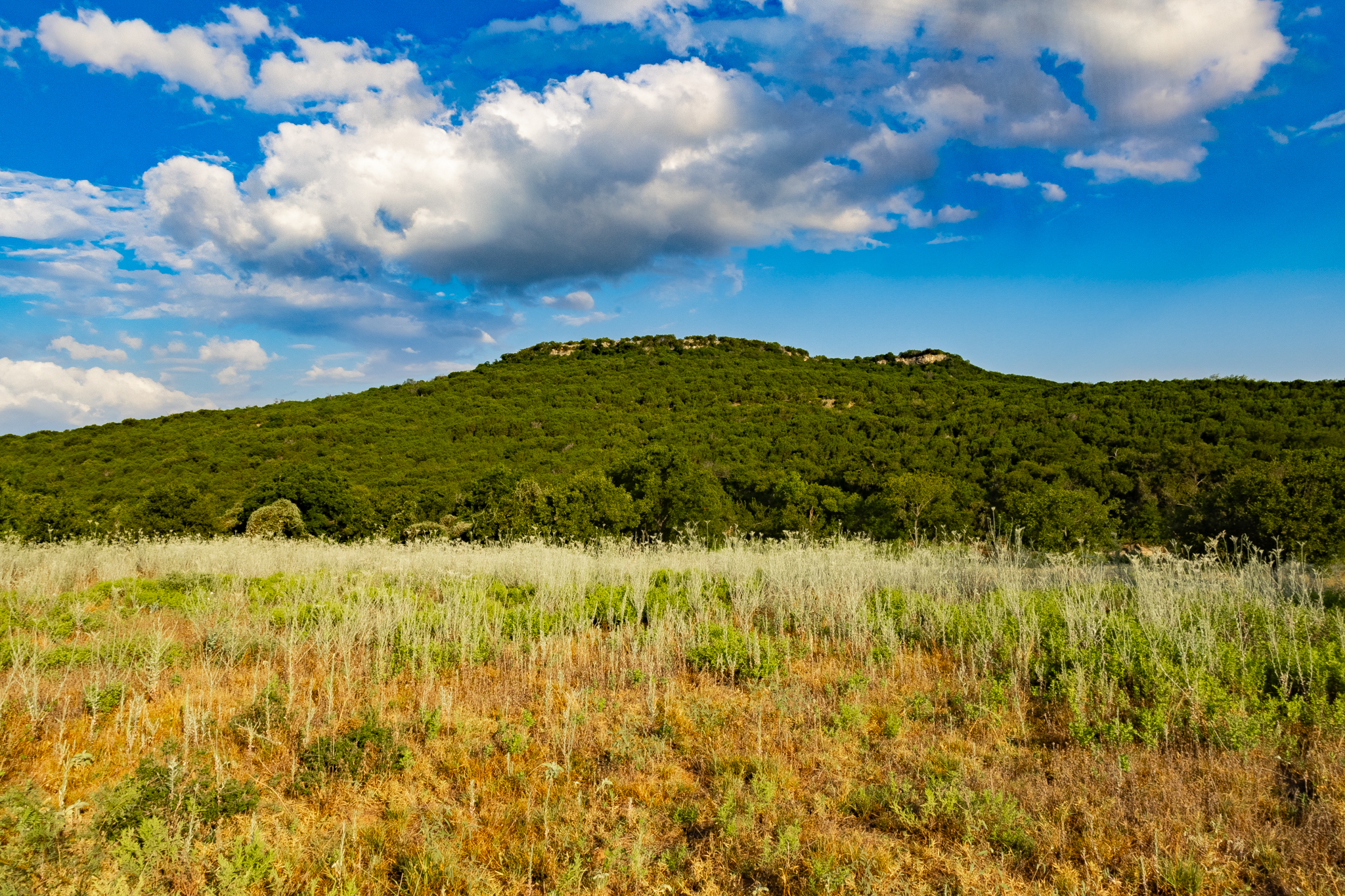 Tbd Fortune Bend Road Graford TX 76449