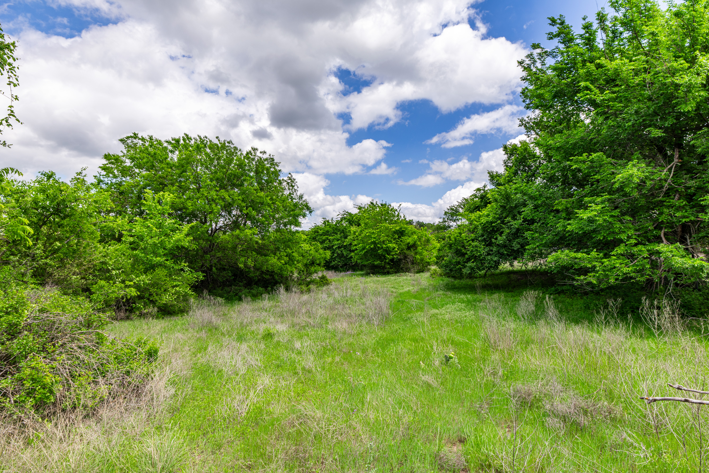 1728 Sweet Springs Weatherford TX 76088