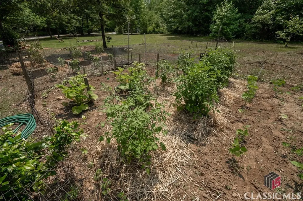 1079 Hardeman Farm Road Carnesville GA 30521