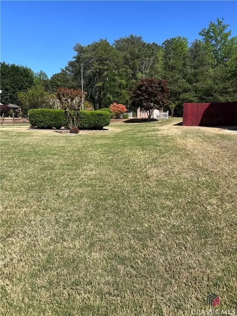 6241 Saturn Drive Flowery Branch GA 30542