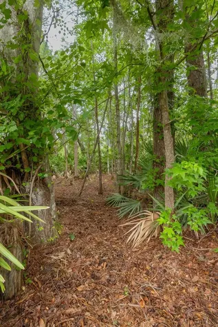 309 Elza Lane St Augustine FL 32086